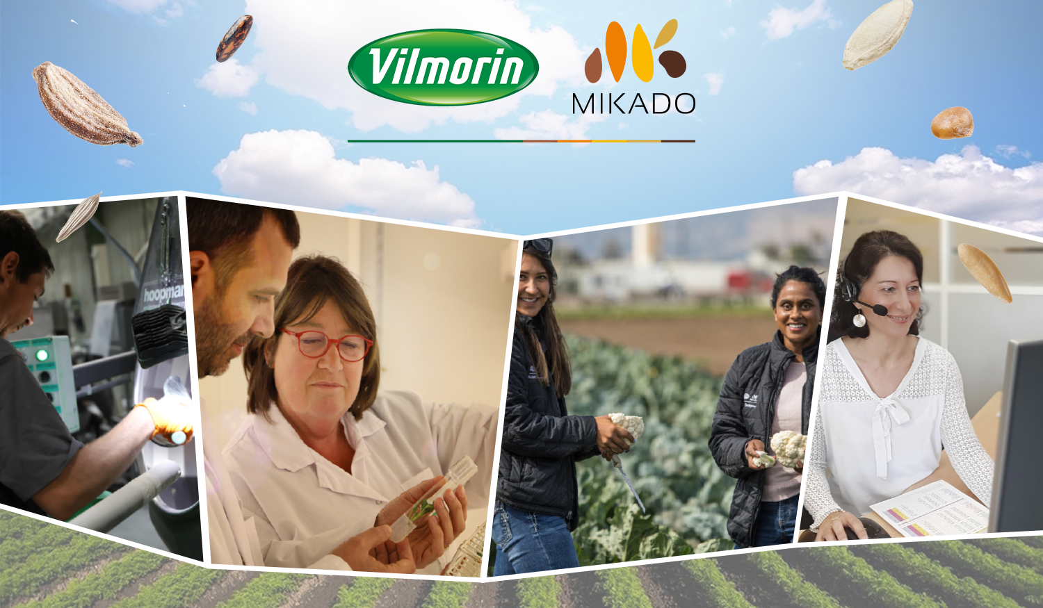 Jobs, Vilmorin-Mikado France